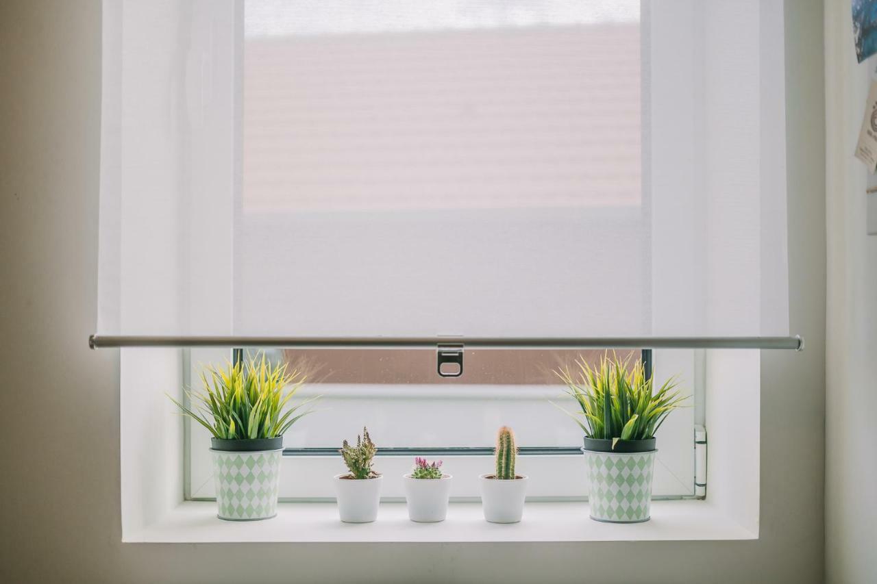 Green House / Casa Verde Πόρτο Εξωτερικό φωτογραφία